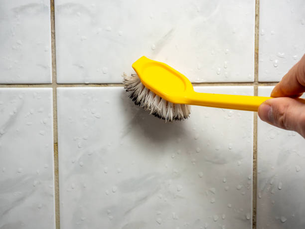 Best Toxic Mold Removal  in Vienna, WV